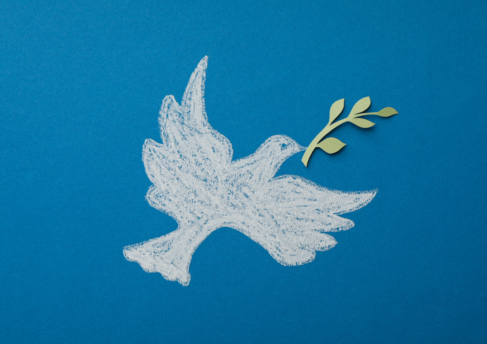 Éducation pour Enfants