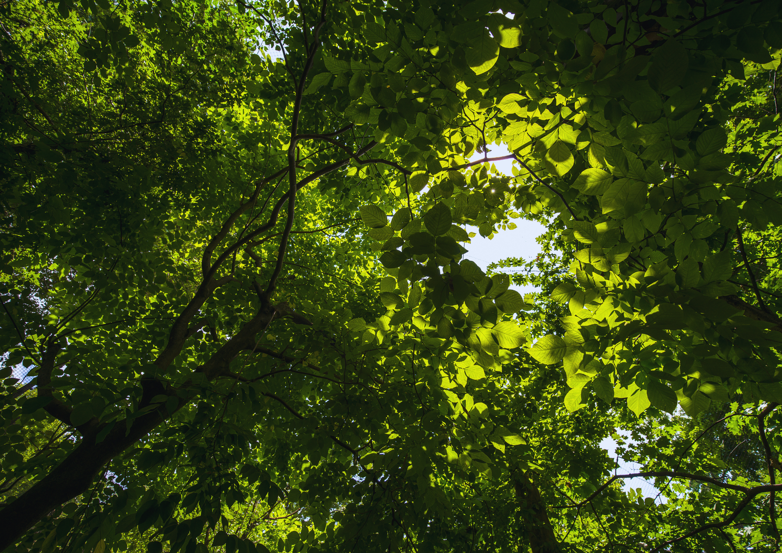 Soutien aux Orphelinats